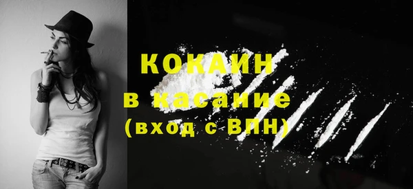 мет Бородино