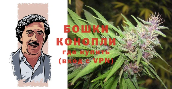 мет Бородино