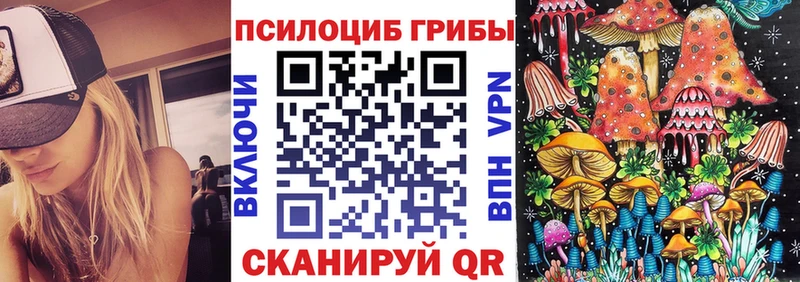 Галлюциногенные грибы GOLDEN TEACHER  omg как зайти  Суворов  дарнет шоп 